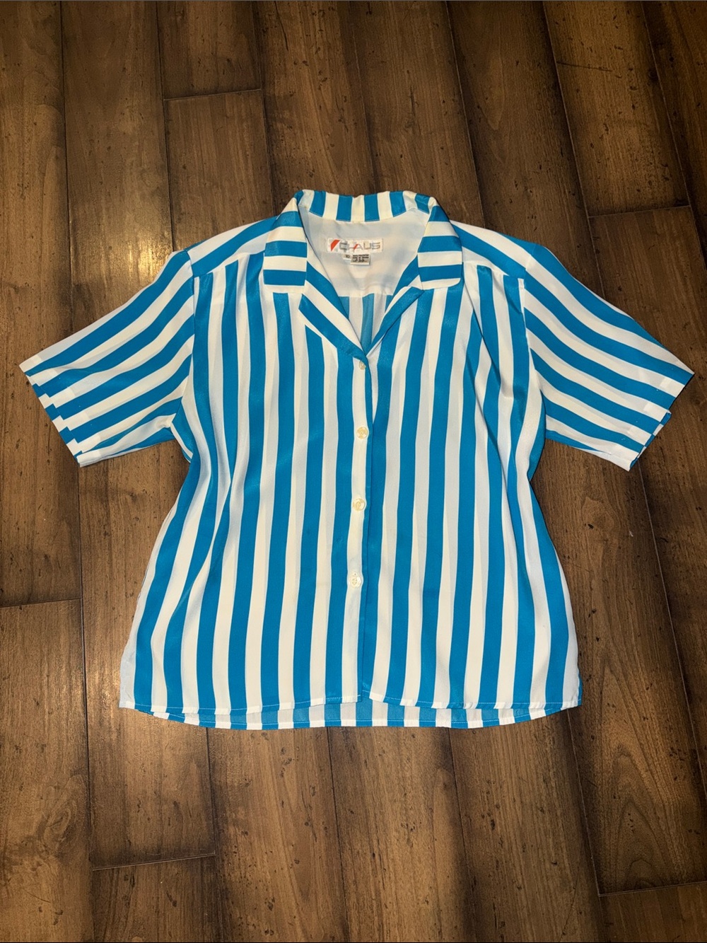 🦋VINTAGE BLUE AND WHITE STRIPED BUTTON-DOWN, SHORT SLEEVE BLOUSE🦋